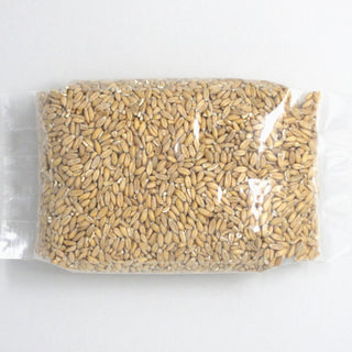 Spelt Kernels