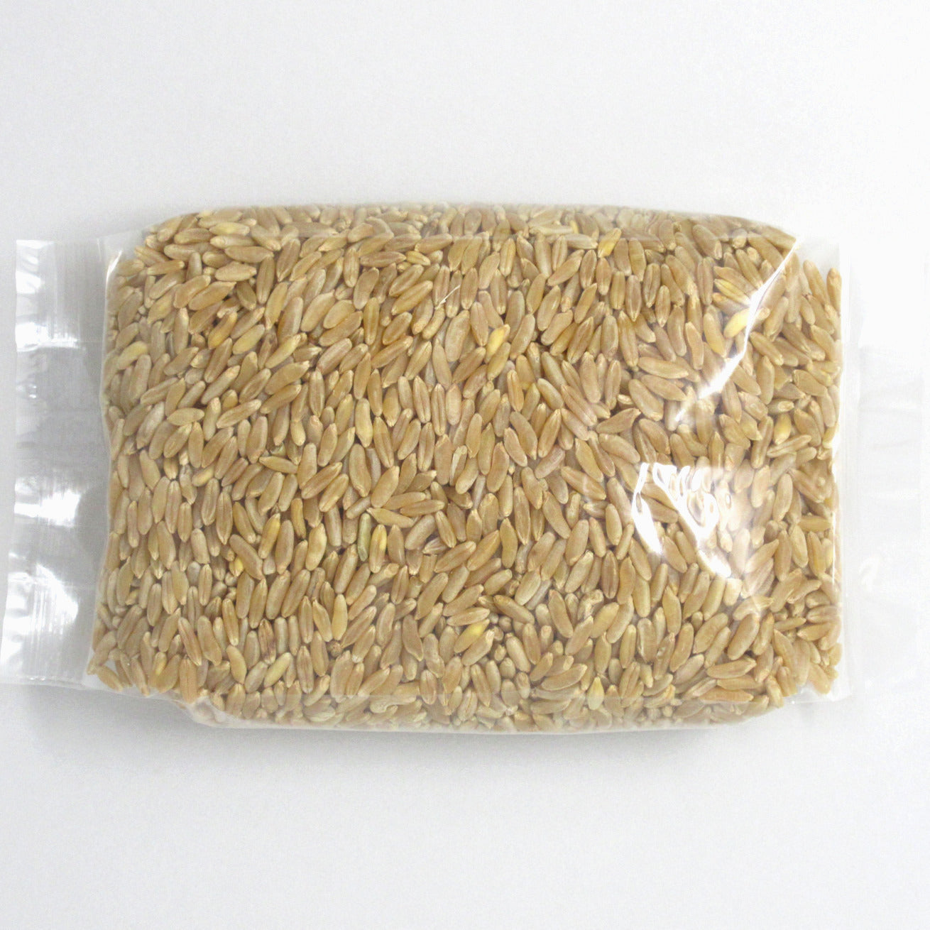 Flour Barrel product image - Kamut Kernels