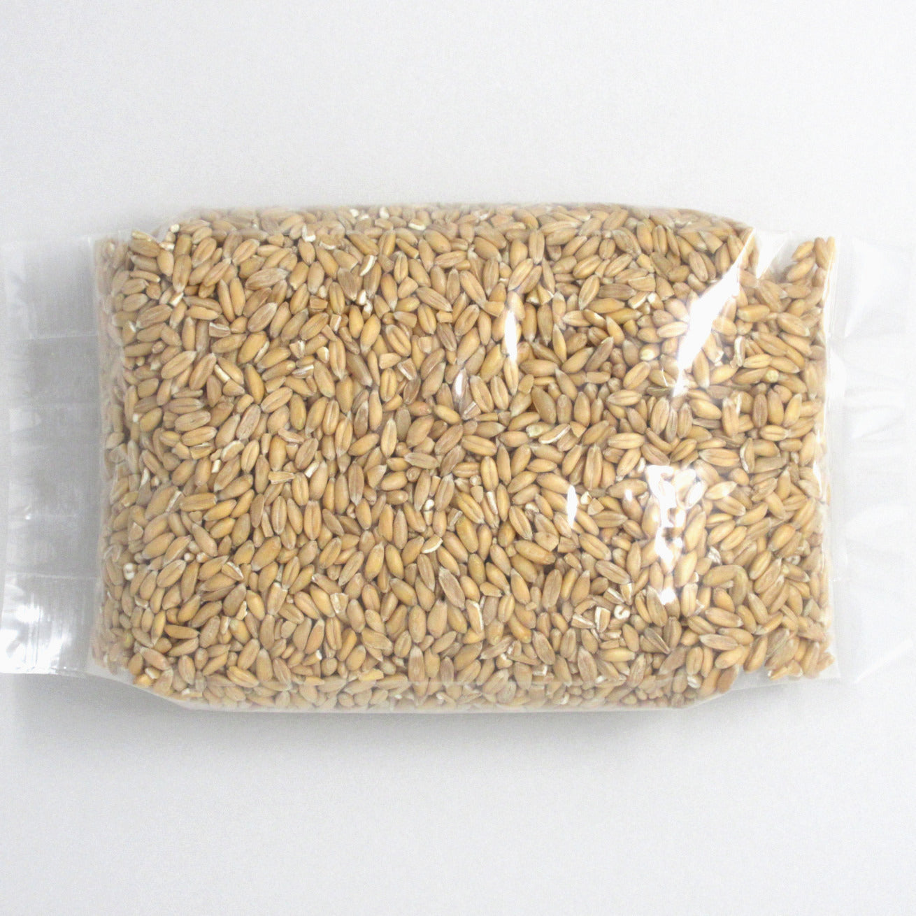 Flour Barrel product image - Spelt Kernels